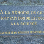 stele don du corps